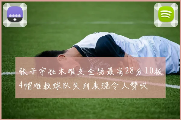 张子宇独木难支全场最高28分10板4帽难救球队失利表现令人赞叹
