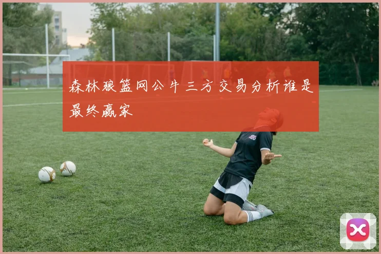 森林狼篮网公牛三方交易分析谁是最终赢家