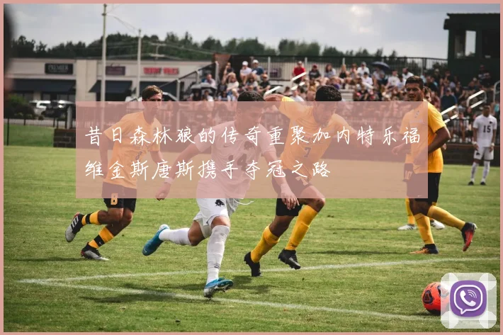 昔日森林狼的传奇重聚加内特乐福维金斯唐斯携手夺冠之路